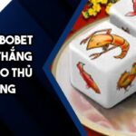 Bầu cua SBOBET